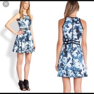 Parker Emmy scuba floral dress NWT